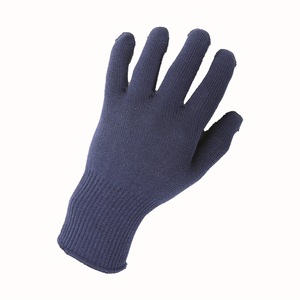 Endurance Thermal Insulating Glove