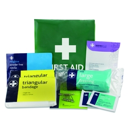 Relaince Medical 101 HSE 1 Person Travel Kit in Green Vinyl Pouch
